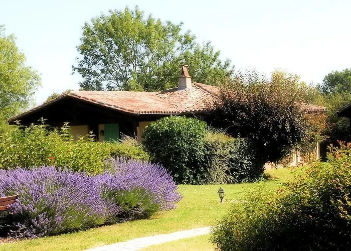 Hotel Au Jardin Fleuri 3*